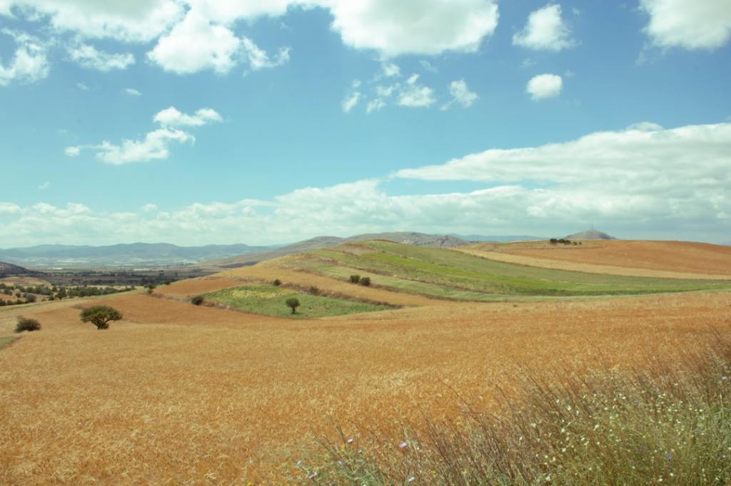 Investigar y dudar: las herramientas que el agro&nbsp;necesita