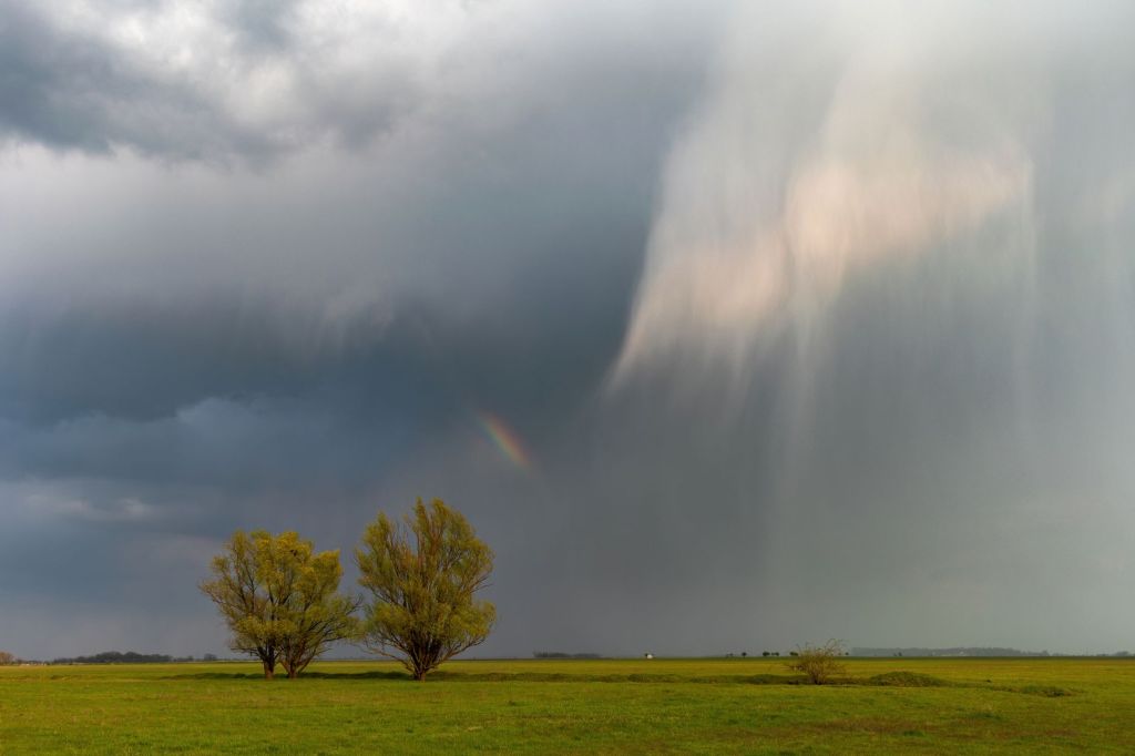 Adaptarse o rezagarse: El Niño y los nuevos retos del&nbsp;agro