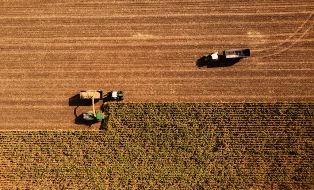 Banco de Corrientes financia el agro con créditos a largo plazo y tasa&nbsp;reducida