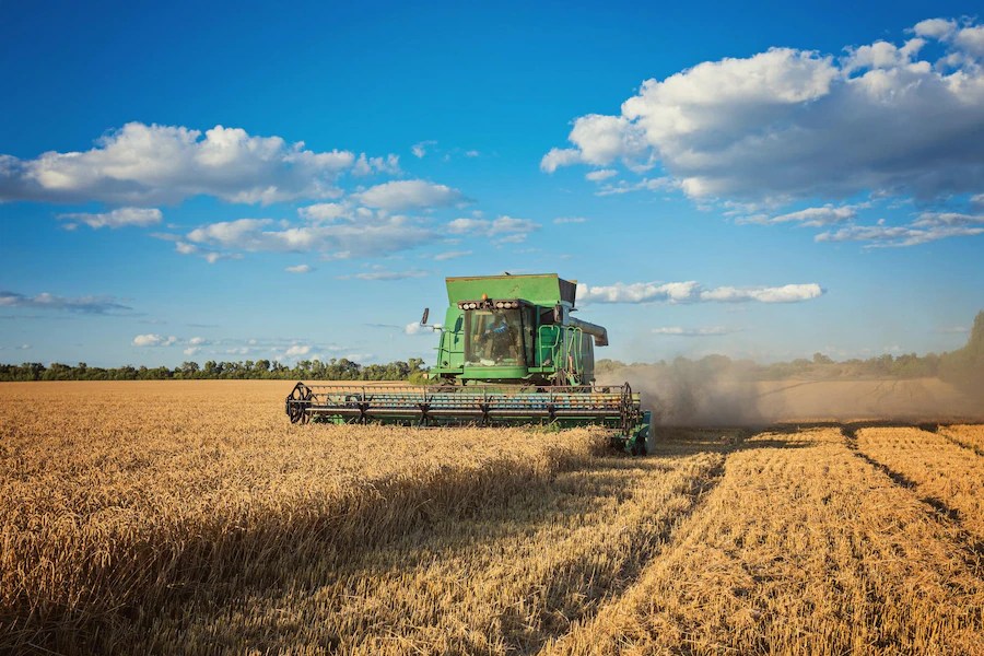 Más oportunidades para el campo pampeano: las economías regionales alcanzaron las exportaciones más altas en 22&nbsp;años